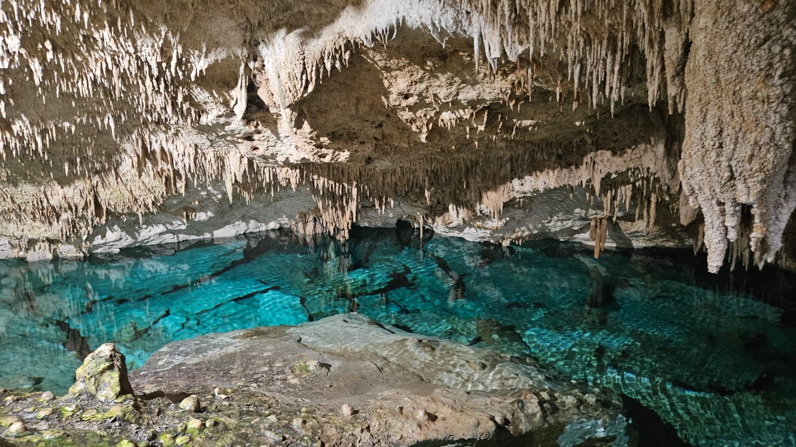 �������: ���������� � ������� � �������� ������� ����