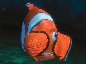 Мультфильм "В поисках Немо" поставил рыб-клоунов на грань вымирания