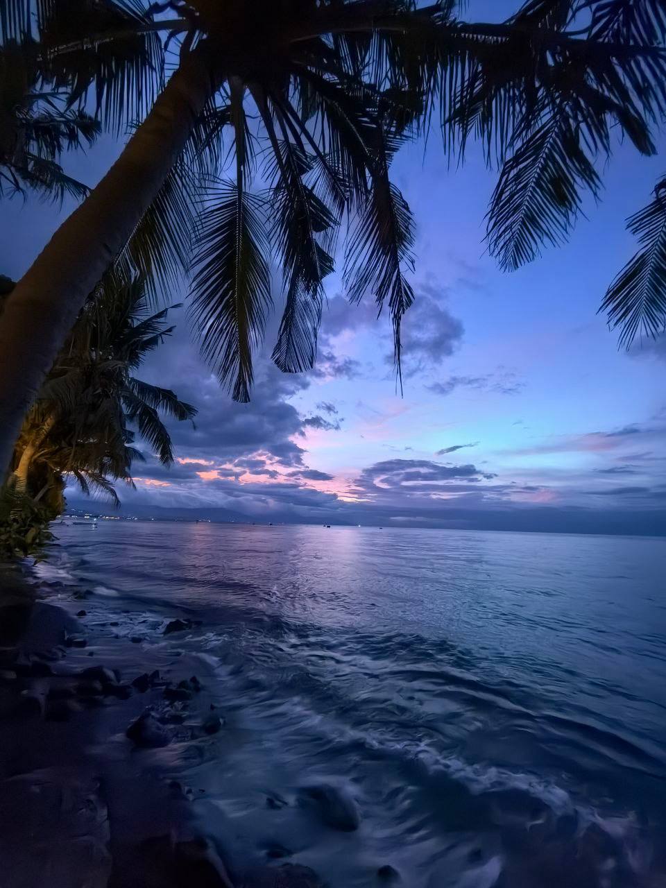 ����������� � ������� �� ������� ����