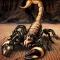 В Германии найден водный скорпион величиной с человека