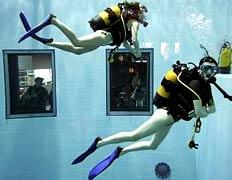 Nemo 33        