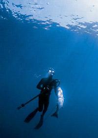 Всероссийские соревнования по подводной охоте – «Кубок РОСТО (ДОСААФ)»