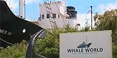 В Австралии бывшая китобойня стала музеем